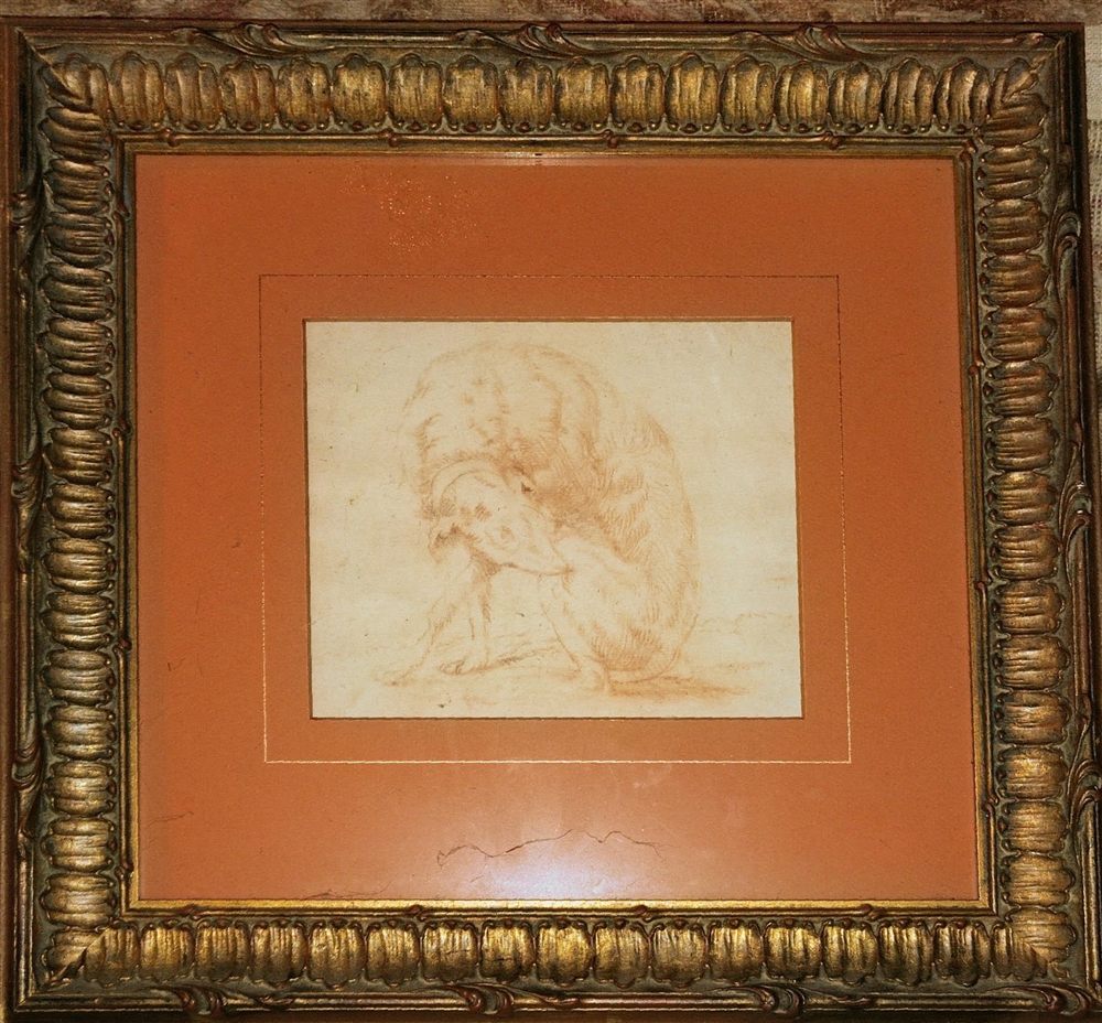 frame view